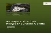 Virunga Volcanoes Range Mountain Gorilla - … · Virunga Volcanoes Range ... decades civil conflicts in East Africa have played a great ... of attention in regards to keeping the