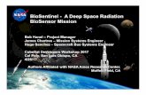 BioSentinel - A Deep Space Radiation BioSensor Missionmstl.atl.calpoly.edu/~bklofas/Presentations/DevelopersWorkshop2017/... · BioSentinel - A Deep Space Radiation BioSensor Mission