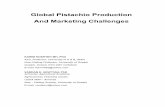 Global Pistachio Production and Marketing Challengeseconomics.ca/2003/papers/0460.pdf · 2003-05-07 · Global Pistachio Production and Marketing Challenges Abstract: Pistachio figures