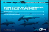 YOUR GUIDE TO FUNDRAISING FOR OCEAN PROTECTION · finathon ® fundraise for ocean protection finathon.org your guide to fundraising for ocean protection about finathon ®..... 1