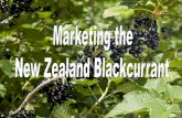 December 1835: NZ colonial garden, including · Corporation’s NZ Blackcurrant product ... • Case Study 1 Cranberry Case Study 2 Pomegranate ... national identity and