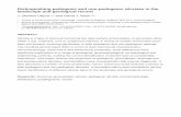 Distinguishing pedogenic and non-pedogenic silcretes …eprints.brighton.ac.uk/15224/1/Silcrete review PGA 2016 postprint.pdf · Distinguishing pedogenic and non-pedogenic silcretes