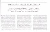 Enkephalinergic control of gastrointestinal motility: …downloads.hindawi.com/journals/cjgh/1987/298384.pdf · Enkephalinergic control of gastrointestinal motility: ... to neuronal
