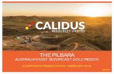 THE PILBARA - Investi · UNLOCKING THE POTENTIAL OF THE PILBARA ... under control, application ... Old aeromag reports have been sourced to assist.