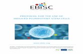 PROTOCOL FOR THE USE OF INDUCED PLURIPOTENT STEM CELLS … · PROTOCOL FOR THE USE OF ... supplied by the European Bank of induced pluripotent Stem Cells ... Vessels are now ready