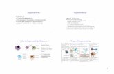Hypersensitivity - California State University, Northridgecmalone/pdf589/ch25.pdf · Type I Immediate Hypersensitivity ... ¥1st bite generates immune response to mosquito salivary