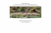 PERLA - Plecopteraplecoptera.speciesfile.org/HomePage/Plecoptera/LitArchive/PerlaNo... · PERLA Annual Newsletter and Bibliography of The International Society of Plecopterologists