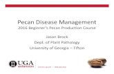 Pecan Disease Management - Homepage - Georgia Pecan ... · Pecan Disease Management ... • This service is provided to pecan growers by ... –Storing –Disposing. Take Home Messages