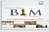 Full page photo - bim.edubim.edu/indexnew/doc/2015/BIM Placement Report 2011.pdf · placement process. ... Management, Project Finance, and Risk management to name a few. ... BIM