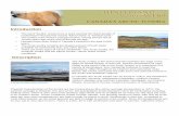 factsheet tundra en - Hinterland Who's Who - …hww.ca/assets/pdfs/factsheets/tundra-en.pdf · These primitive plants also do not reproduce by seeds but rather produce spores, ...