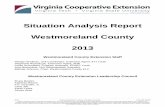 Situation Analysis Report Westmoreland County 2013pubs.ext.vt.edu/content/dam/pubs_ext_vt_edu/VCE/VCE-596/VCE-596... · comprehensive Situation Analysis. The ELC met twice to discuss
