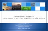 REPUBLIC OF INDONESIA MINISTRY OF NATIONAL DEVELOPMENT PLANNING ... · MINISTRY OF NATIONAL DEVELOPMENT PLANNING / NATIONAL DEVELOPMENT PLANNING AGENCY (BAPPENAS) Indonesian Climate