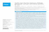 Inulin-type fructan improves diabetic phenotype and gut ... · SubjectsDiabetes and Endocrinology Keywords Gut microbiota, Inulin, Soluble fiber, Diabetes INTRODUCTION The prevalence