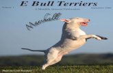 E Bull Terriers · E Bull Terriers A Monthly Internet Publication Photo by Louis Ruediger M a r s h a l l. MULTIPLE Best in Show / MULTIPLE best in Specialty Show ... Page 14 Wendigo