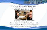 Traumatic Brain Injury & Visual Impairmentherl.pitt.edu/symposia/vision-hearing/presentations/WICKUM_TBI and... · 1. Defense and Veterans Brain Injury Center (DVBIC) 2000 - 2013