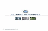 NATURAL RESOURCES - Milwaukeecity.milwaukee.gov/.../planning/plans/Citywide/plan/Natural.pdf · Natural resources have always been highly valued in ... and the natural environment