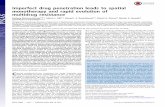 Imperfect drug penetration leads to spatial monotherapy ... · Imperfect drug penetration leads to spatial monotherapy and rapid evolution of multidrug resistance ... with rapidly