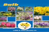 Bulb Catalogue - Lubbe Lisse 2016_bulb... · As well as this catalogue of bulbs, we also have a brochure where you find many ideas for various planting schemes. This is available
