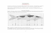 Koi Anatomy - koihealthadvisorkoihealthadvisor.org/kha_images/pdf/Anatomy.pdf · Koi Anatomy By Spike Cover ... Koi, like other fish, are very sensitive to sound, and can be stressed