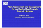 Risk Assessment and Management for the Eagles ags-hk.org/notes/06/Risk_Assessment_and_Management... ·
