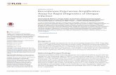 RESEARCHARTICLE … One... · RESEARCHARTICLE RecombinasePolymeraseAmplification AssayforRapidDiagnosticsofDengue Infection ... (DHF) and ... (IPD) .TheIPDhasthere- ...