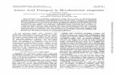 In Amino Acid Transport in Mycobacterium smegmatisjb.asm.org/content/102/1/6.full.pdf · Vol. 102, No. 1 PrintedIn US.A. Amino Acid Transport in Mycobacterium smegmatis KUNIHIKO YABU