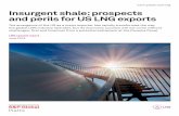 Insurgent shale: prospects and … · In the domestic market, this would likely ensure that gas prices remained competitive for the industry, power plants and consumers, avoiding