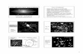 ASTR 1040 Accel Astro: Stars & Galaxies Tour of ...zeus.colorado.edu/astr1040-toomre/Lectures/lecture23--8apr08.pdf · ASTR 1040 Accel Astro: Stars & Galaxies ... Tour of GalaxiesTour