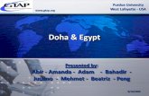 Doha Egypt - GTAP · Introduction Doha came in 2001 with the promises to cut tariffs ontrade between all WTO members. Database: GTAP 6.1 with 92 countries & 57 sectors narrowed down