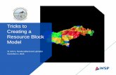 Tricks to Creating a Resource Block - nr.gov.nl.ca · 5 Most domains are selected based on geological or grades Or a combination of both The definition of the boundaries between geological