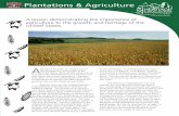 Plantations & Agriculture A - NCPTT · Plantations & Agriculture. NCPTT. A. Lesson Plan. A lesson demonstrating the importance of agriculture to the growth and heritage of the United