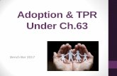 Adoption & TPR Under Ch - Palm Beach County Bar … · Consent and Affidavit of Nonpaternity Section 63.082(4) • Signed in presence of two witnesses plus notary (notary may not