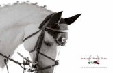 2018 EVENT CALENDAR - Sonoma Horse Park · 2018-01-25 · 2017 sponsor list title sponsor wells fargo private bank diamond sponsors platinum sponsors gold sponsors hermÈs dc builders