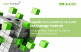 Openbravo Commerce Suite Technology Platform … · Openbravo Commerce Suite Technology Platform ... Facilitate multiple channel integration and distributed order ... direct access.