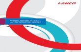 ANNUAL REPORT 2016-17 LANCO INFRATECH … · Central Bank of India Corporation Bank Dena Bank ICICI Bank Limited IDBI Bank Limited ... Report on the highlights of performance and