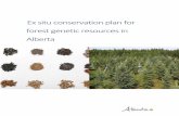 Ex situ conservation plan for forest genetic resources … · Ex situ gene conservation of forest genetic resources in Alberta started in 1976, soon after the start of the genetics