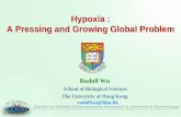 Hypoxia : A Pressing and Growing Global Problem · Hypoxia : A Pressing and Growing Global Problem Rudolf Wu School of Biological Sciences The University of Hong Kong rudolfwu@hku.hk