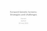 Forward Genetic Screens: Strategies challenges · Forward Genetic Screens: Strategies and challenges Harwin GoFish 22 July 2015. Forward genetics Phenotype Gene Several advantages: