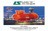 FLSD - Ex Equipment Supplier in Texas Somer FLSD Flameproof Motors.pdf · This catalogue describes LEROY-SOMER FLSD flameproof induction motor ... References for LEROY-SOMER 3-phase