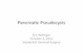 Pancreatic Pseudocysts - mc.vanderbilt.edu · be associated with jaundice, ... Clinical Presentation of Pseudocysts ... - Multidisciplinary approach to management ...