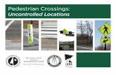 Pedestrian Crossings - University of Minnesota · Transportation, the American Association of State Highway and Trans-portation Officials (AASHTO), the Transportation Research Board,