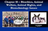 Chapter 10 Bioethics, Animal Welfare, Animal …users.tamuk.edu/kfsdl00/Chapter 10-Bioethics.pdf · Chapter 10 – Bioethics, Animal Welfare, Animal Rights, ... Classic case of the