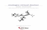 Molegro Virtual Docker 6 - azevedolab.netazevedolab.net/resources/MolegroVirtualDockerManual.pdf · 1 Introduction to Molegro Virtual Docker page 9/250 1.4 Text Formats Used in the