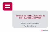 Erwin Ruymaekers Belfius Bank - Download.minoc.comdownload.minoc.com/2013/51/case_erwin_ruymaekers.pdf · Erwin Ruymaekers Belfius Bank. ... transversal BI in the bank ... Associative