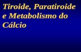 Tiroide, Paratiroide e Metabolismo do Cálcio - ufrgs.br em PDF/38... · Disfunções de secreção de hormônios da Tireóide Função acima do normal –Hipertireoidismo disfunções
