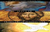 Philosophical Foundations - B&H Academic · Perspective helps Christians ... ecumenical council philosophical theology historical ... The resulting doctrine of the person of Christ