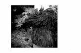 The Black Swan and Postnatal Depression - RMIT …researchbank.rmit.edu.au/eserv/rmit:160481/Hobbs.pdf · The Black Swan and Postnatal Depression: ... EXHIBITION HISTORY FOR ARTWORKS