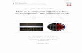 Flow in Microporous Silicon Carbide: an Experimental …web-files.ait.dtu.dk/bruus/TMF/publications/MSc/MScKGHBM.pdf · This thesis, titled "Flow in Microporous Silicon Carbide: an