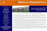 Bison Spectrum - Bucknell University · Bison Spectrum, contact Malyse Uwase mu006@bucknell.edu ... Myers and graduate assistant Nadir Sharif kicked off this year’s International