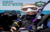 The Sea Base 2019 Promotional Brochure - Florida Sea … · SCHOLARSHIPS The Florida Sea Base offers partial need-based scholarships to individuals who wish to attend the Sea Base